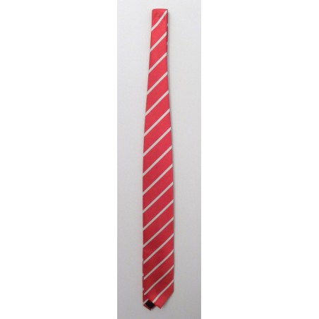 Corbata fantasia rayas