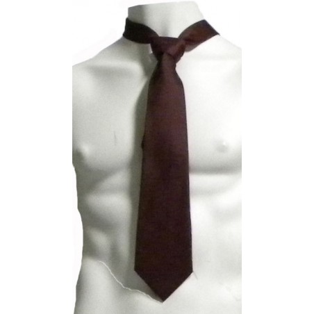 Corbata lisa