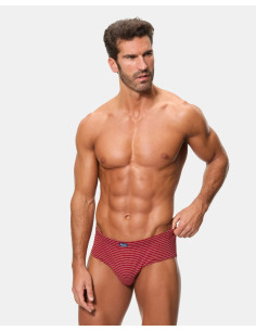 Pack de 6 calzoncillos slips cerrados Abanderado 2