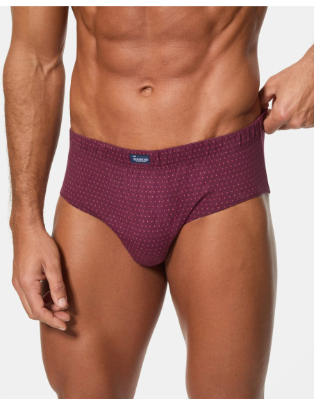 Pack de 6 calzoncillos slips cerrados Abanderado