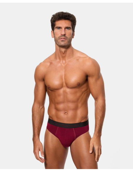 Pack de 6 calzoncillos slips cerrados Abanderado