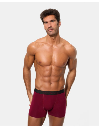 Pack de 6 calzoncillos bóxer cerrados Abanderado