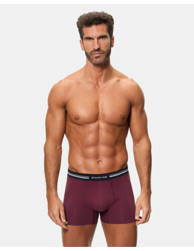 Pack de 6 calzoncillos bóxer cerrados Abanderado