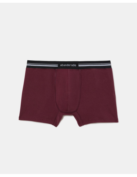 Pack de 6 calzoncillos bóxer cerrados Abanderado