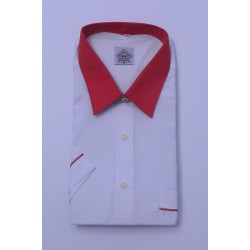 Camisa ref.4150 2