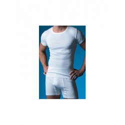Camiseta Abanderado Ref.306 2
