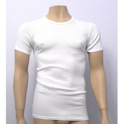 Camiseta Abanderado Ref.306