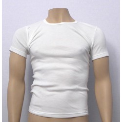 Camiseta Abanderado Ref.806 2