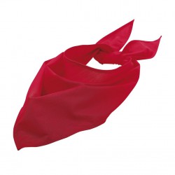 Bandana pañuelo cuello 2
